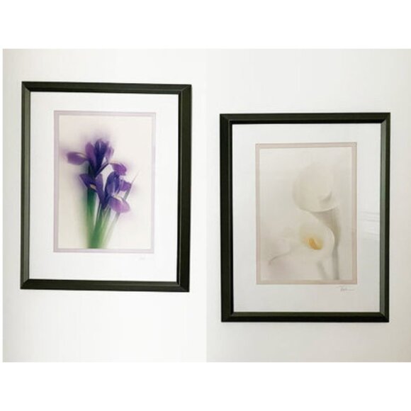 PAIR Signed Iris and tulip flower photography prints framed teal green metal art